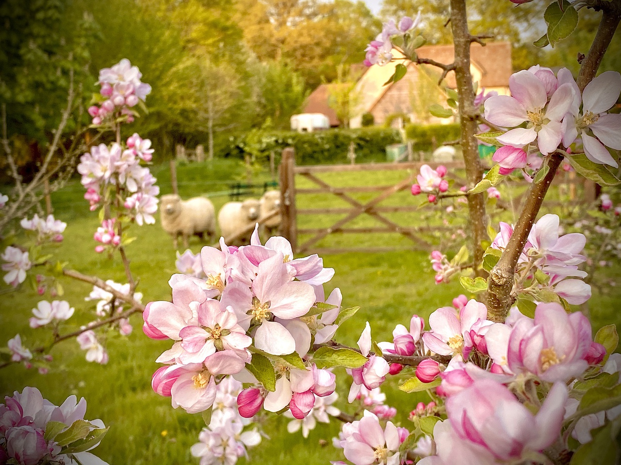 Hazelbank Farm — photo 3
