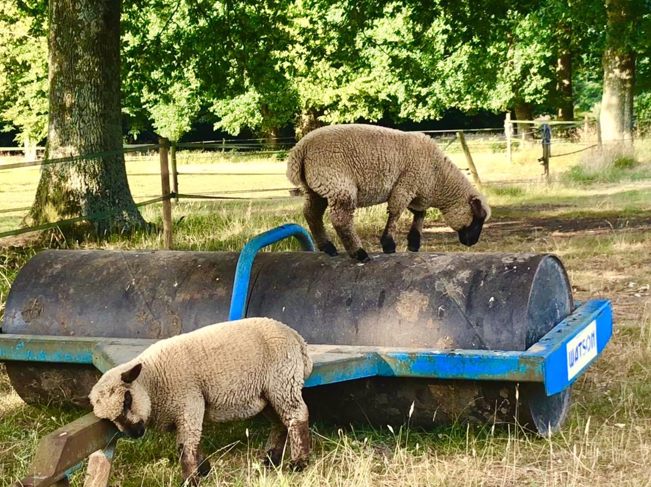 Hazelbank Farm — photo 4