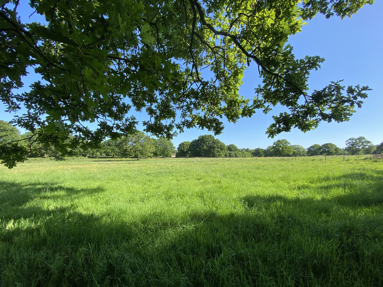 Hazelbank Farm — photo 2